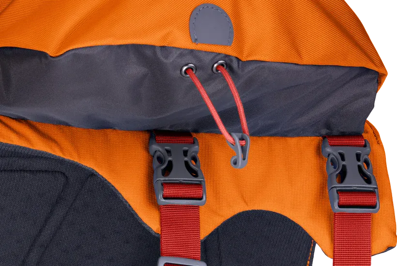 ⚡️ Ruffwear Approach Pack