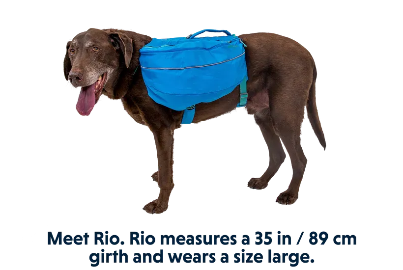 ⚡️ Ruffwear Approach Pack