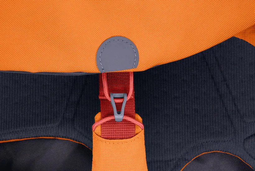 ⚡️ Ruffwear Approach Pack