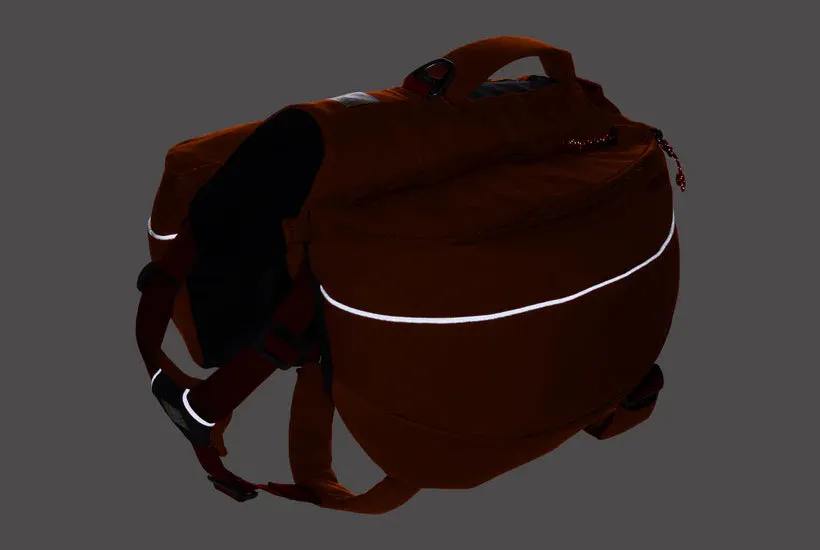 ⚡️ Ruffwear Approach Pack