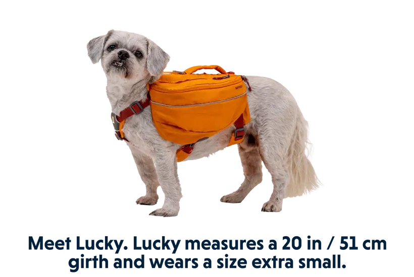 ⚡️ Ruffwear Approach Pack