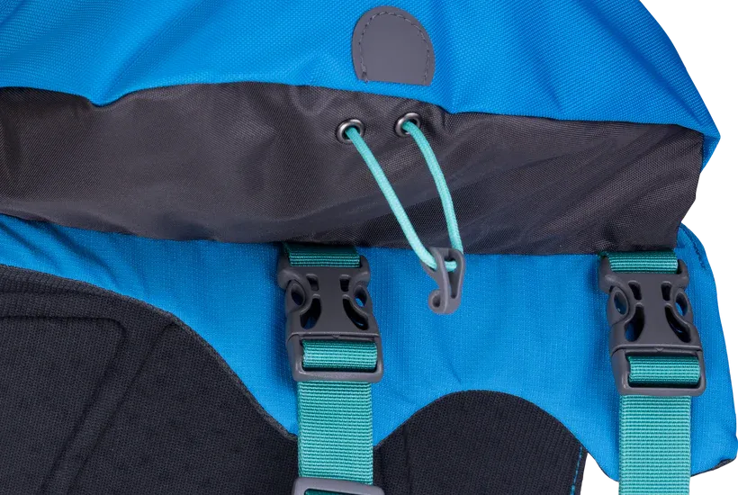 ⚡️ Ruffwear Approach Pack