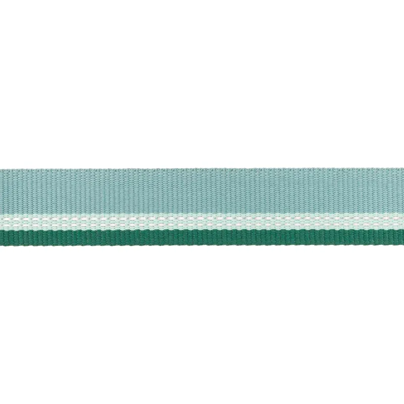 ⚡ Ruffwear Top Rope Dog Collar