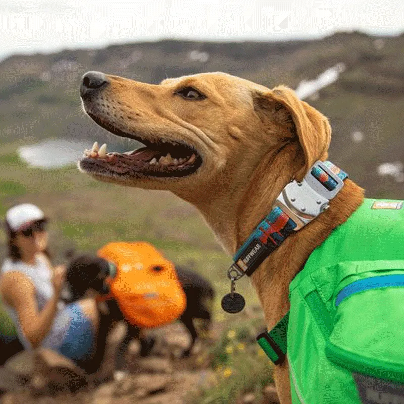 ⚡ Ruffwear Top Rope Dog Collar