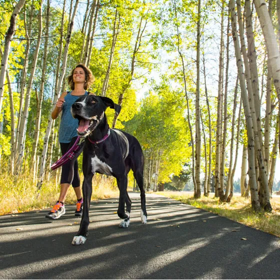 ⚡ Ruffwear Top Rope Dog Collar