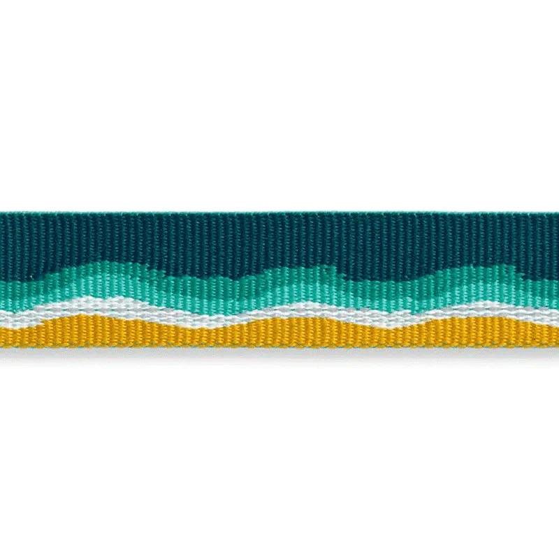 ⚡ Ruffwear Top Rope Dog Collar