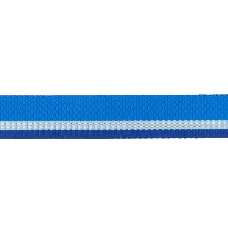 ⚡ Ruffwear Top Rope Dog Collar