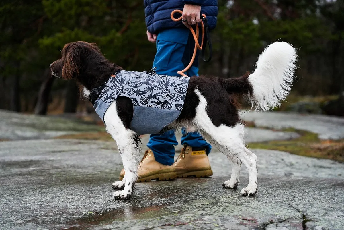 Aurora reflective jacket