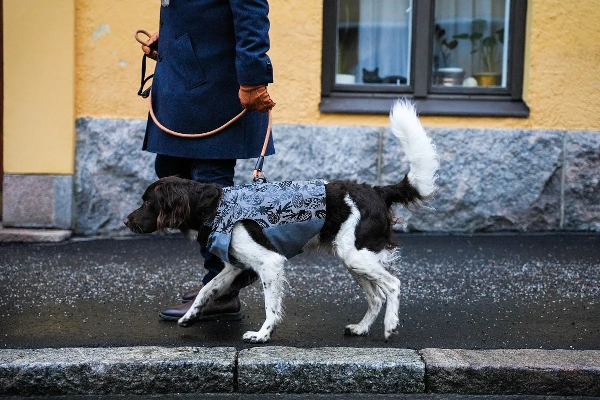 Aurora reflective jacket
