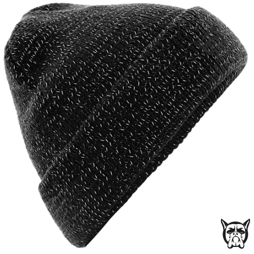 Bog Dog Reflective Beanie