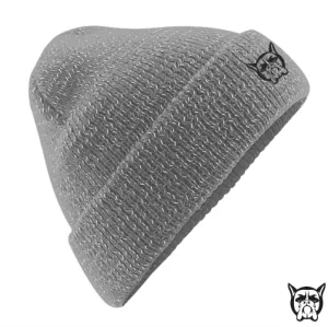 Bog Dog Reflective Beanie
