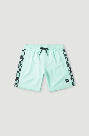 Cali Panel 14'' Badehose | Beach Glass Colour Block