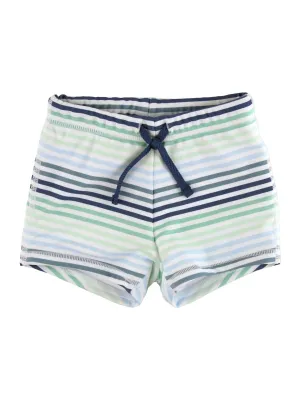 Coastal Stripes Swim Shorties