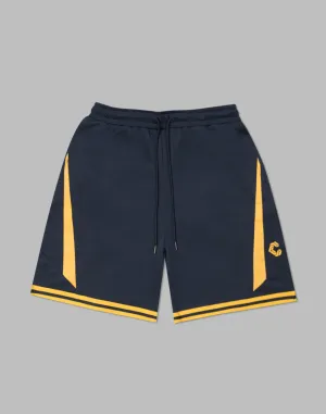 CRONOS pinhole mesh shorts【NAVY】