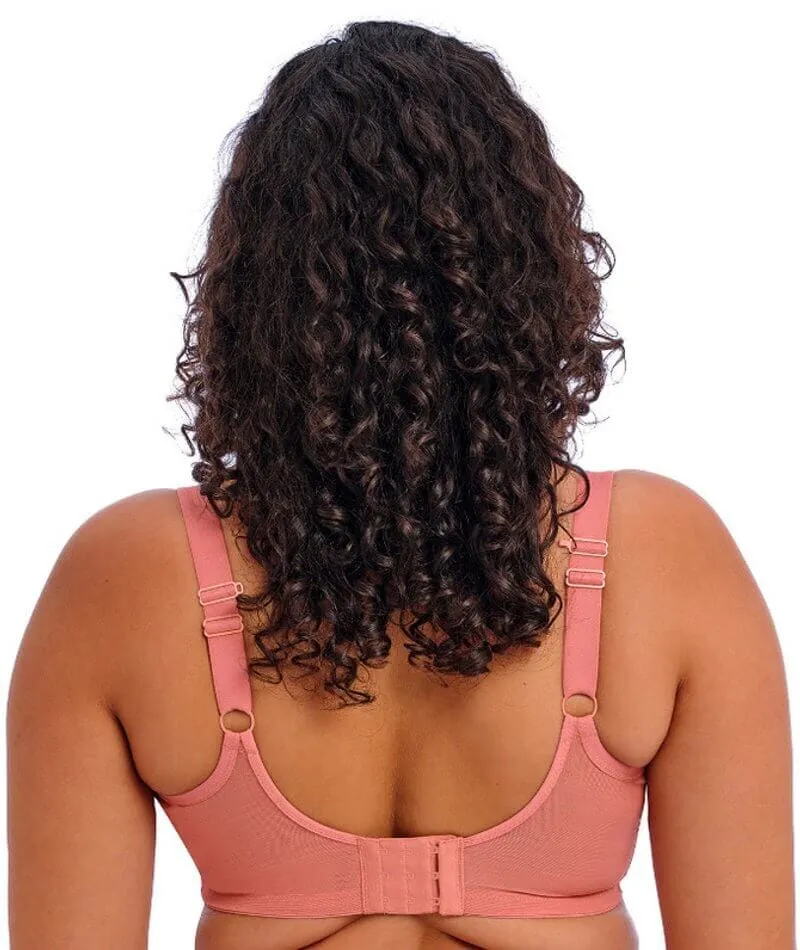 Elomi Matilda Underwired Plunge Bra - Rose Leo