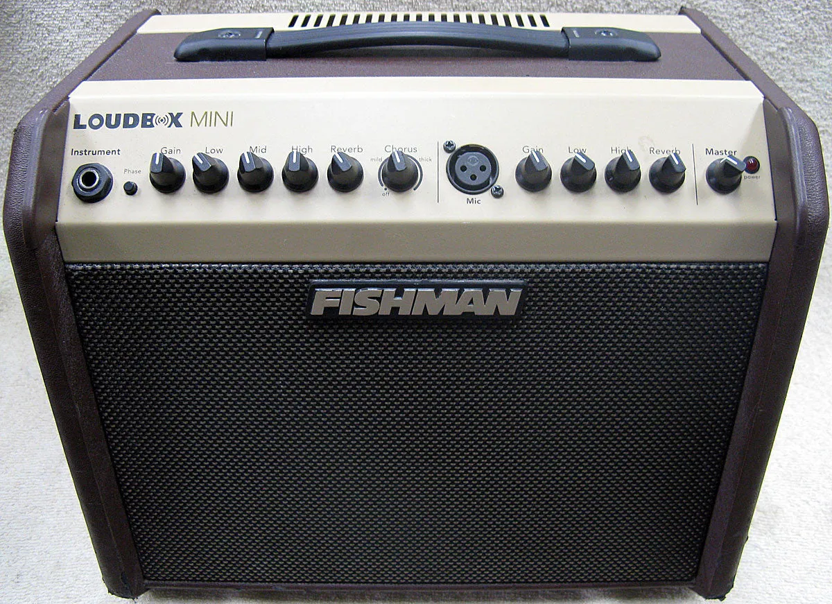 Fishman Loudbox Mini Amplifier