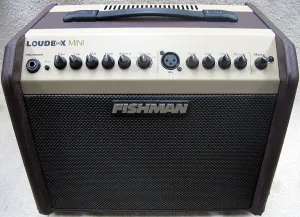Fishman Loudbox Mini Amplifier