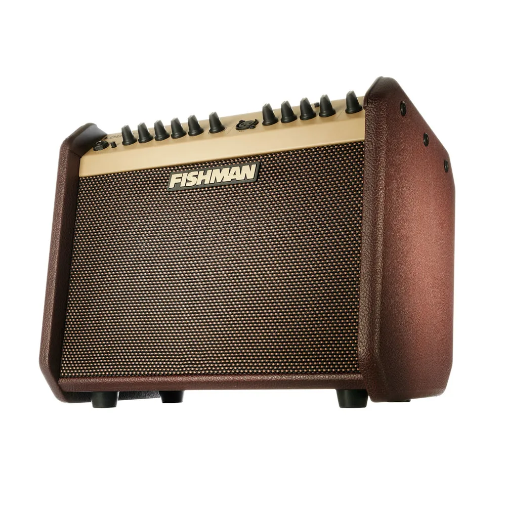 Fishman Loudbox Mini
