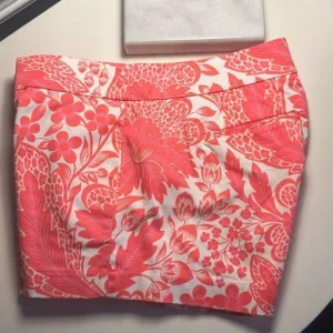 J. Crew Stretch Shorts