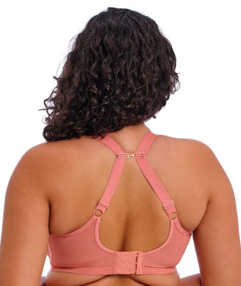 Matilda Plunge Bra In Rose Leo - Elomi