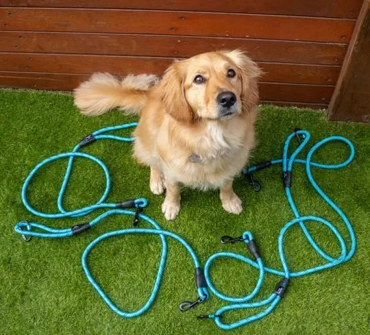 Navigator Gear Dog Leash Buddy - 1.5 Metre - Blue