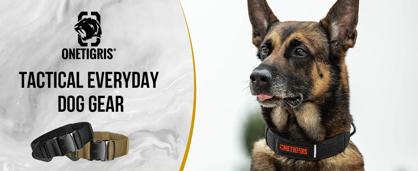 ONETIGRIS X11 Dog Collar