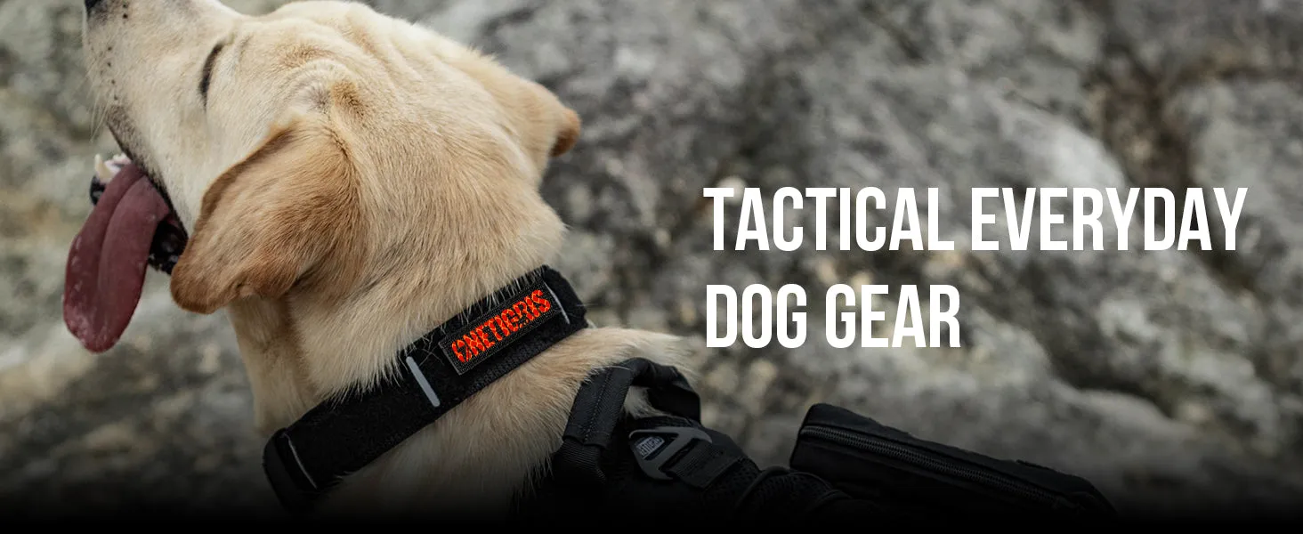 ONETIGRIS X11 Dog Collar