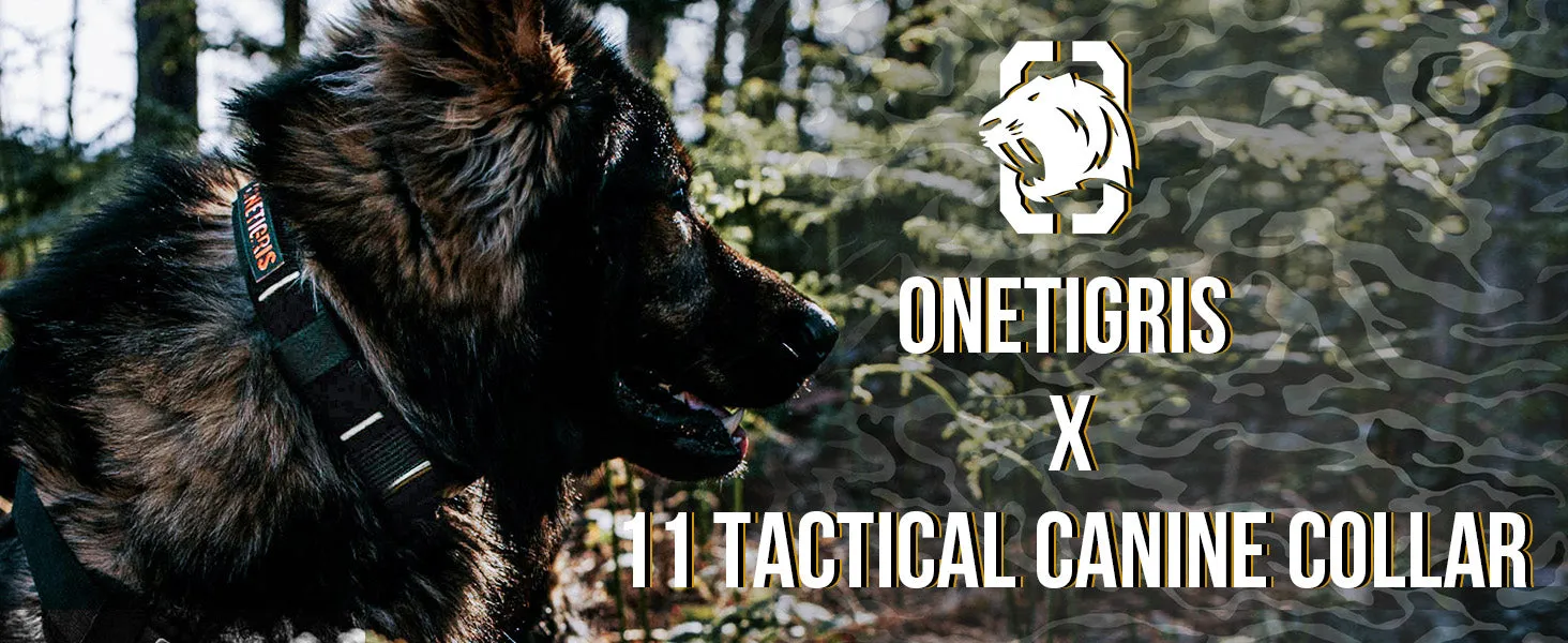 ONETIGRIS X11 Dog Collar