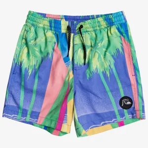 Quiksilver Youth No Destination Volley 14 Boardshorts