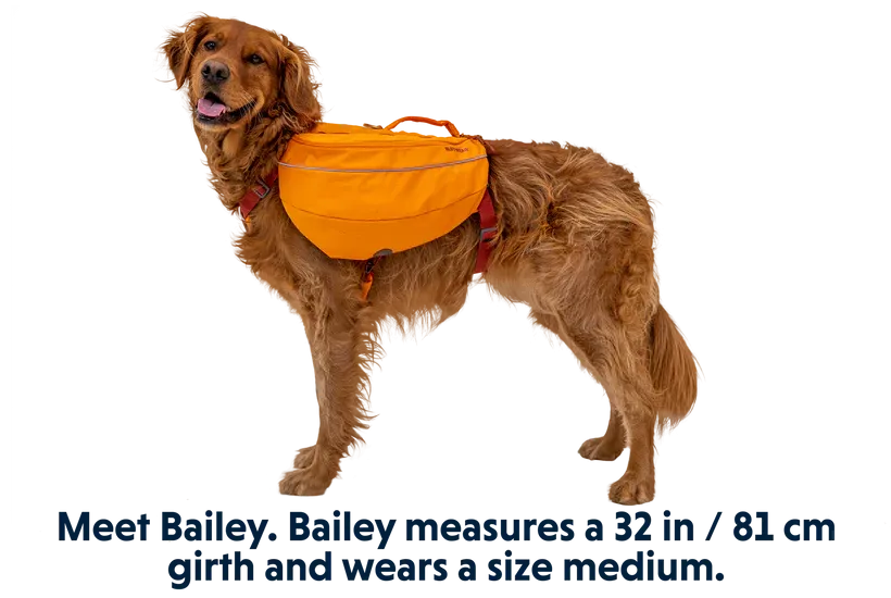 Ruffwear Approach™ Dog Backpack
