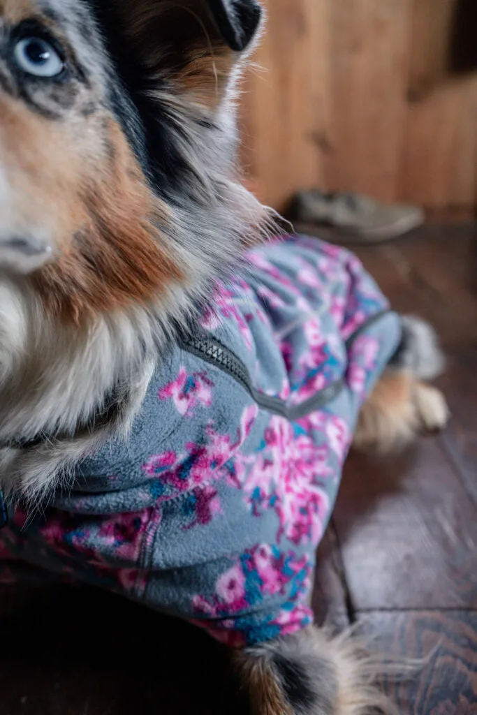 Ruffwear Climate Changer Fleece Jacket