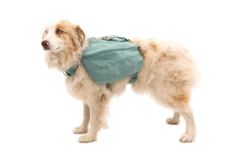 RUFFWEAR Front Range Day Pack - River Rock Green