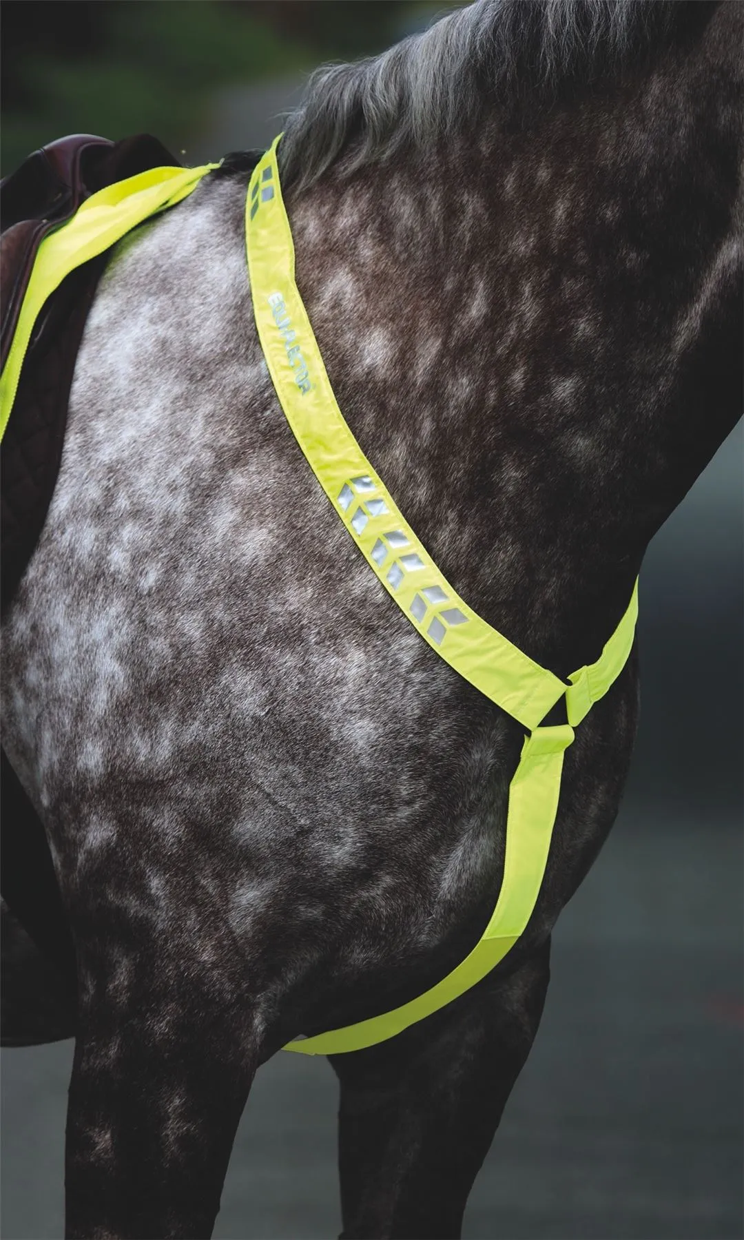 Shires Equi-Flector® Breastplate