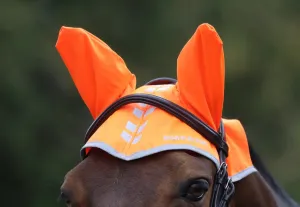 Shires EQUI-FLECTOR® Fly Veil