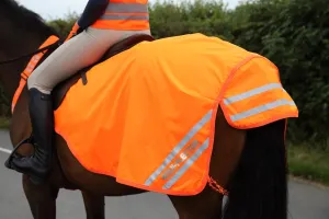 Shires EQUI-FLECTOR® Mesh Exercise Sheet