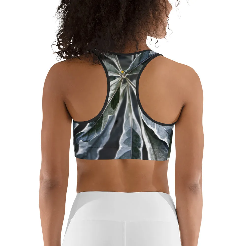 True Stripes Sports Bra